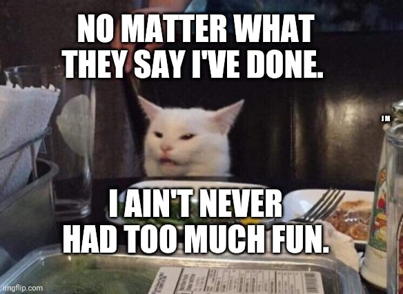 Salad cat | NO MATTER WHAT THEY SAY I'VE DONE. J M; I AIN'T NEVER HAD TOO MUCH FUN. | image tagged in salad cat | made w/ Imgflip meme maker