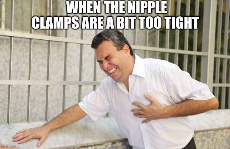 This aint fun any more | WHEN THE NIPPLE CLAMPS ARE A BIT TOO TIGHT | image tagged in ouch | made w/ Imgflip meme maker