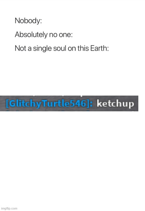 Ketchup | image tagged in nobody absolutely no one | made w/ Imgflip meme maker