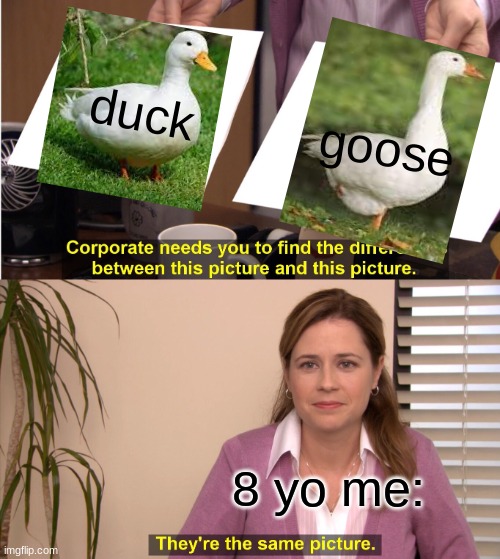 Goose goose duck=duck duck goose | duck; goose; 8 yo me: | image tagged in memes,they're the same picture,goose,duck | made w/ Imgflip meme maker