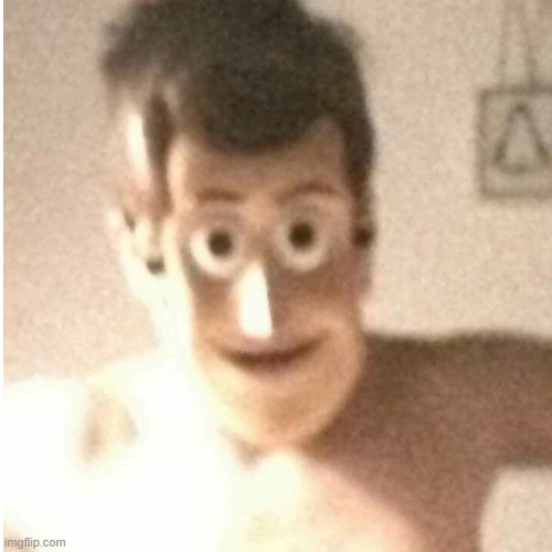 when you catch woody off-guard | image tagged in funny meme | made w/ Imgflip meme maker