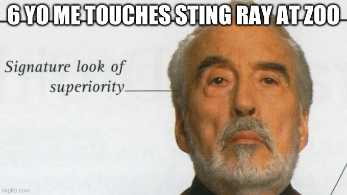 Count Dooku Signature look of superiority | 6 YO ME TOUCHES STING RAY AT ZOO | image tagged in count dooku signature look of superiority,zoo | made w/ Imgflip meme maker