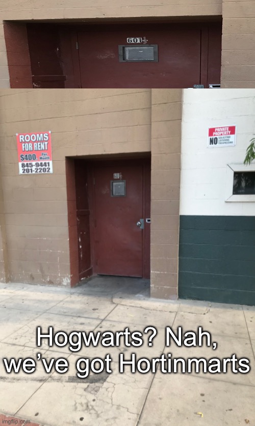Ghetto Harry Potter | Hogwarts? Nah, we’ve got Hortinmarts | image tagged in harry potter,funny | made w/ Imgflip meme maker