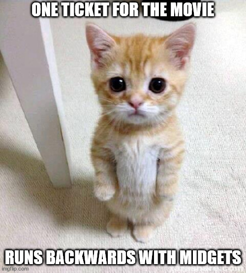 Cute Cat |  ONE TICKET FOR THE MOVIE; RUNS BACKWARDS WITH MIDGETS | image tagged in memes,cute cat | made w/ Imgflip meme maker