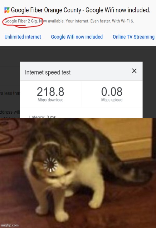 Bought this google fiber thing, I was promised 2gigs. Thanks google! | image tagged in loading cat,memes,wifi | made w/ Imgflip meme maker