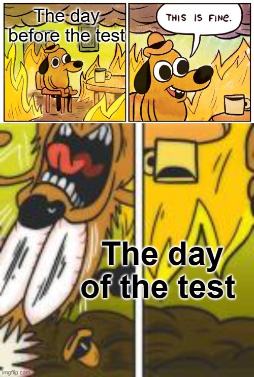 test | The day before the test; The day of the test | image tagged in memes,this is fine | made w/ Imgflip meme maker