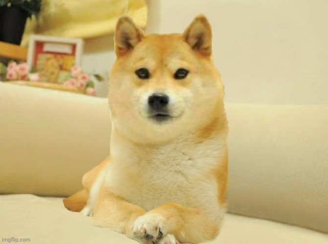 Front Facing Doge | image tagged in memes,funny,sus,never gonna give you up,barney will eat all of your delectable biscuits,stop reading the tags | made w/ Imgflip meme maker