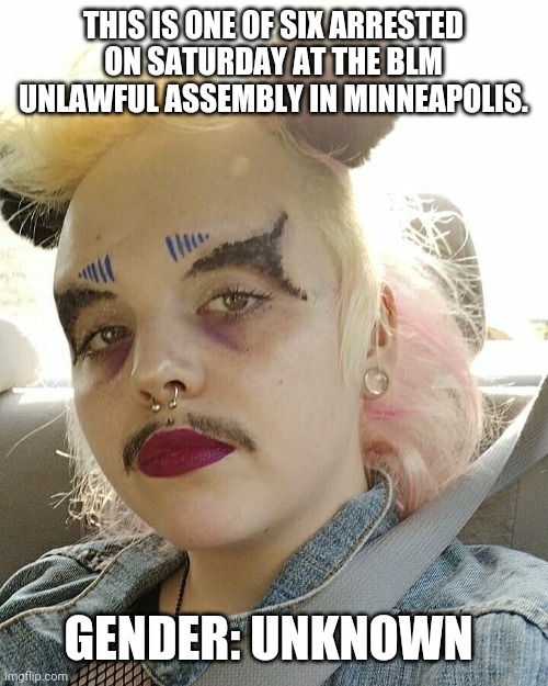 Liberals. Smh. | THIS IS ONE OF SIX ARRESTED ON SATURDAY AT THE BLM UNLAWFUL ASSEMBLY IN MINNEAPOLIS. GENDER: UNKNOWN | image tagged in memes | made w/ Imgflip meme maker