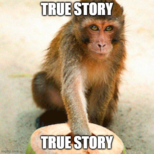 Let Go | TRUE STORY TRUE STORY | image tagged in let go | made w/ Imgflip meme maker