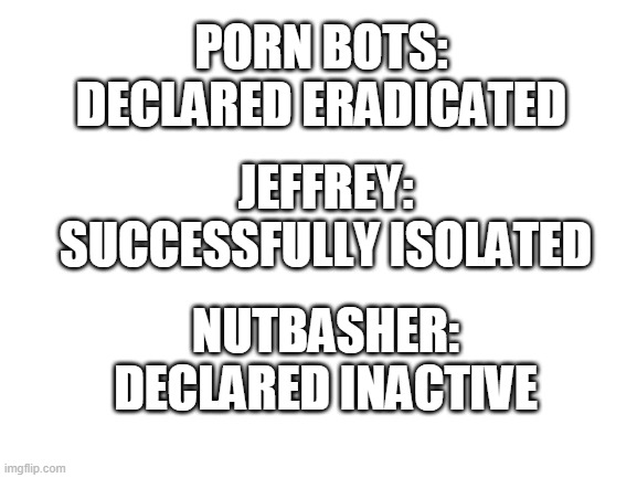 This is all our doing, thanks for all the hard work, officers! (Mod note: Fixed typo) | PORN BOTS: DECLARED ERADICATED; JEFFREY: SUCCESSFULLY ISOLATED; NUTBASHER: DECLARED INACTIVE | image tagged in blank white template | made w/ Imgflip meme maker