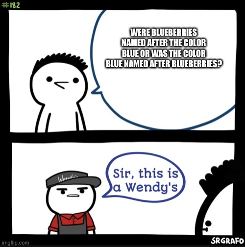 hmm | WERE BLUEBERRIES NAMED AFTER THE COLOR BLUE OR WAS THE COLOR BLUE NAMED AFTER BLUEBERRIES? | image tagged in sir this is a wendys,memes,hmmm,stop reading the tags | made w/ Imgflip meme maker