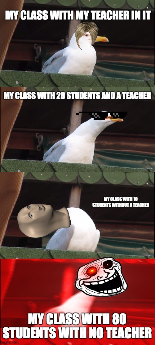Inhaling Seagull | MY CLASS WITH MY TEACHER IN IT; MY CLASS WITH 28 STUDENTS AND A TEACHER; MY CLASS WITH 10 STUDENTS WITHOUT A TEACHER; MY CLASS WITH 80 STUDENTS WITH NO TEACHER | image tagged in memes,inhaling seagull | made w/ Imgflip meme maker