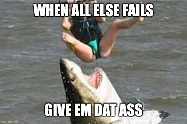 Dat Ass | WHEN ALL ELSE FAILS; GIVE EM DAT ASS | image tagged in memes | made w/ Imgflip meme maker