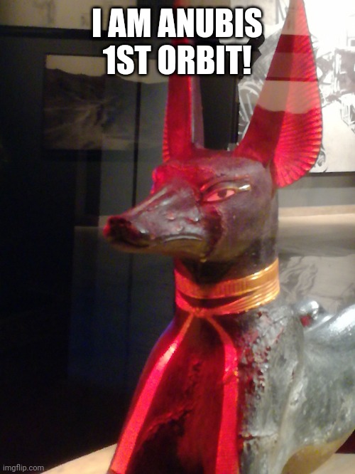 Disgusted Anubi | I AM ANUBIS 1ST ORBIT! | image tagged in disgusted anubi | made w/ Imgflip meme maker