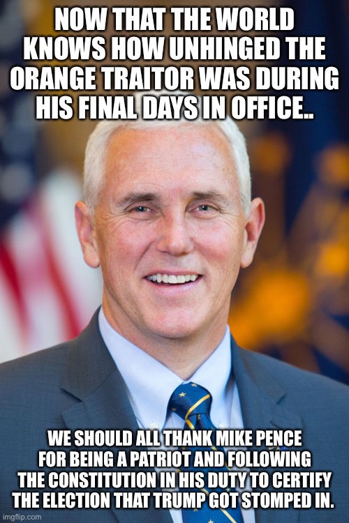 Mike Pence | NOW THAT THE WORLD KNOWS HOW UNHINGED THE ORANGE TRAITOR WAS DURING HIS FINAL DAYS IN OFFICE.. WE SHOULD ALL THANK MIKE PENCE FOR BEING A PATRIOT AND FOLLOWING THE CONSTITUTION IN HIS DUTY TO CERTIFY THE ELECTION THAT TRUMP GOT STOMPED IN. | image tagged in mike pence | made w/ Imgflip meme maker
