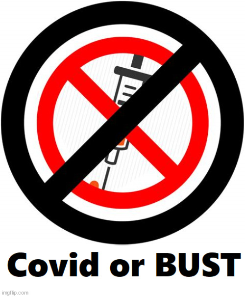 Covid or BUST | image tagged in covidiots | made w/ Imgflip meme maker
