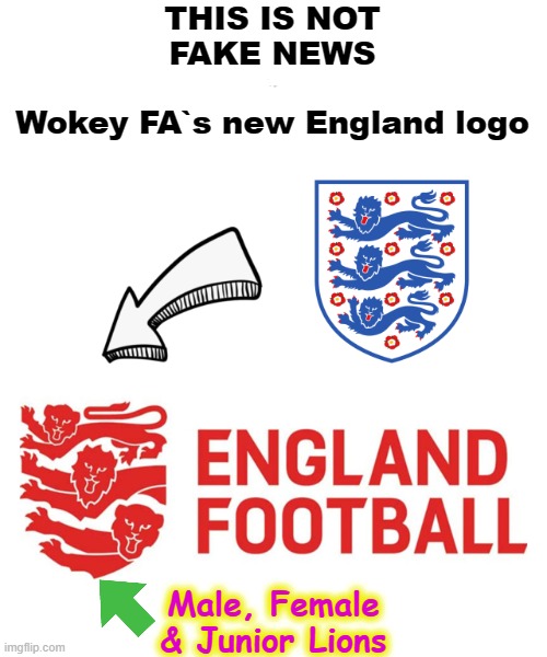 Wokey FA`s new England logo | THIS IS NOT
FAKE NEWS
*
Wokey FA`s new England logo; Male, Female & Junior Lions | image tagged in unfunny | made w/ Imgflip meme maker