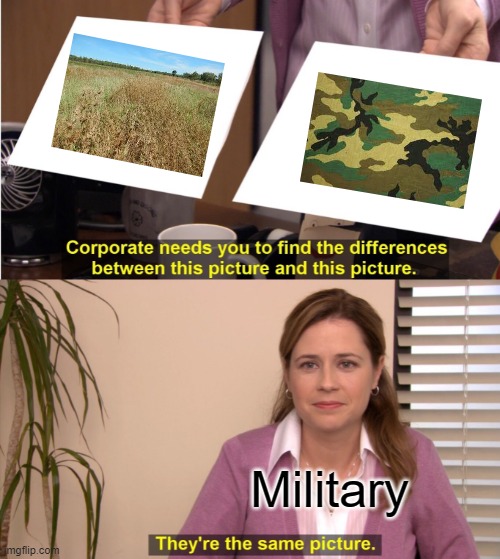 ah yes, grass | Military | image tagged in memes,they're the same picture | made w/ Imgflip meme maker