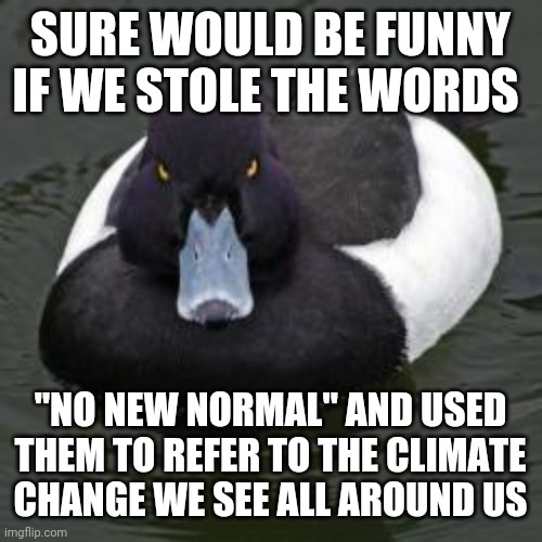 Angry mallard | SURE WOULD BE FUNNY IF WE STOLE THE WORDS; "NO NEW NORMAL" AND USED THEM TO REFER TO THE CLIMATE CHANGE WE SEE ALL AROUND US | image tagged in angry mallard,PoliticalHumor | made w/ Imgflip meme maker