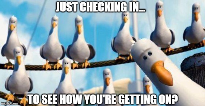 Checking in | JUST CHECKING IN... TO SEE HOW YOU'RE GETTING ON? | image tagged in nemo birds | made w/ Imgflip meme maker