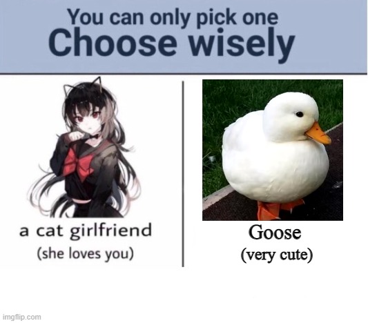 Choose Wisely |  Goose; (very cute) | image tagged in choose wisely,goose | made w/ Imgflip meme maker