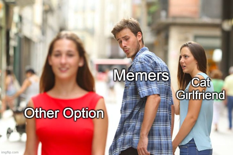 Choose Wisely Memes Be Like : | Memers; Cat Girlfriend; Other Option | image tagged in memes,distracted boyfriend,choose wisely | made w/ Imgflip meme maker