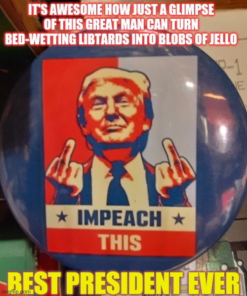 Daily TDS TRIGGER | IT'S AWESOME HOW JUST A GLIMPSE OF THIS GREAT MAN CAN TURN BED-WETTING LIBTARDS INTO BLOBS OF JELLO; BEST PRESIDENT EVER | image tagged in donald trump,rules | made w/ Imgflip meme maker