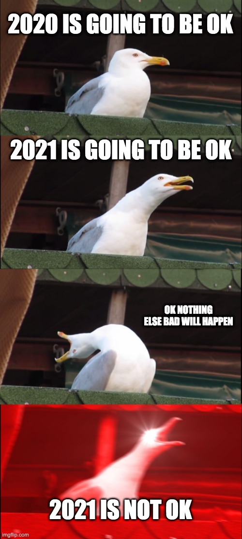 Inhaling Seagull Meme | 2020 IS GOING TO BE OK; 2021 IS GOING TO BE OK; OK NOTHING ELSE BAD WILL HAPPEN; 2021 IS NOT OK | image tagged in memes,inhaling seagull | made w/ Imgflip meme maker