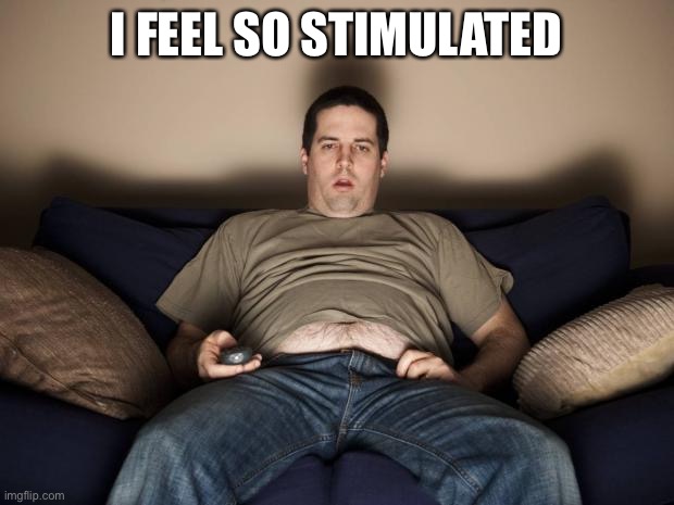 lazy fat guy on the couch | I FEEL SO STIMULATED | image tagged in lazy fat guy on the couch | made w/ Imgflip meme maker