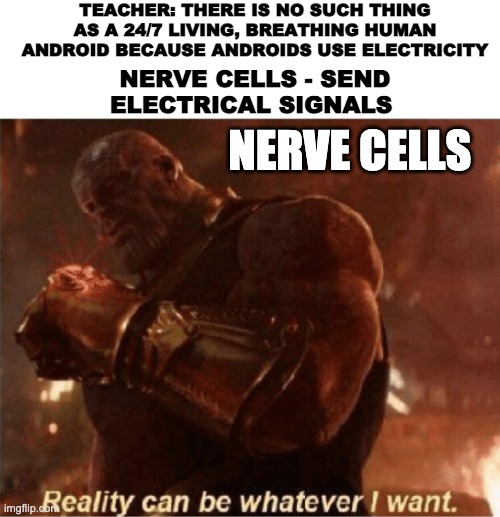 LIES | TEACHER: THERE IS NO SUCH THING AS A 24/7 LIVING, BREATHING HUMAN ANDROID BECAUSE ANDROIDS USE ELECTRICITY; NERVE CELLS - SEND ELECTRICAL SIGNALS; NERVE CELLS | image tagged in reality can be whatever i want,funny,funny memes,thanos,human,memes | made w/ Imgflip meme maker