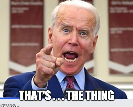 Joe Biden no malarkey | THAT'S . . . THE THING | image tagged in joe biden no malarkey | made w/ Imgflip meme maker