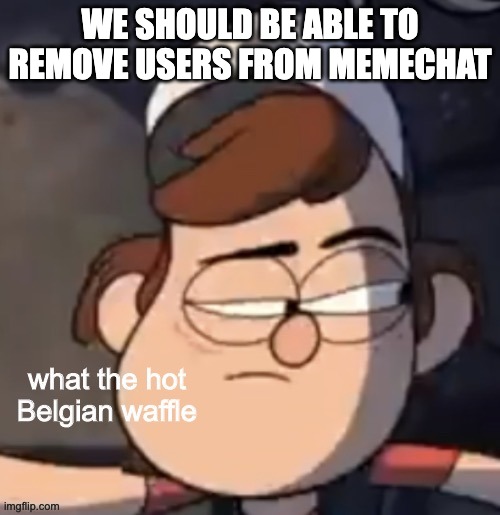 What in the hot belgian waffle | WE SHOULD BE ABLE TO REMOVE USERS FROM MEMECHAT | image tagged in what in the hot belgian waffle | made w/ Imgflip meme maker