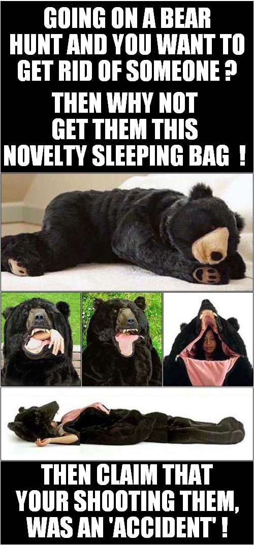 A Premeditated Shooting 'Accident' | GOING ON A BEAR HUNT AND YOU WANT TO GET RID OF SOMEONE ? THEN WHY NOT GET THEM THIS NOVELTY SLEEPING BAG  ! THEN CLAIM THAT YOUR SHOOTING THEM, WAS AN 'ACCIDENT' ! | image tagged in bears,sleeping,premeditated,shooting,accident,dark humour | made w/ Imgflip meme maker
