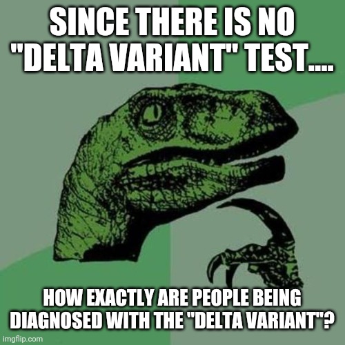 It's a legitimate question. | SINCE THERE IS NO "DELTA VARIANT" TEST.... HOW EXACTLY ARE PEOPLE BEING DIAGNOSED WITH THE "DELTA VARIANT"? | image tagged in memes | made w/ Imgflip meme maker