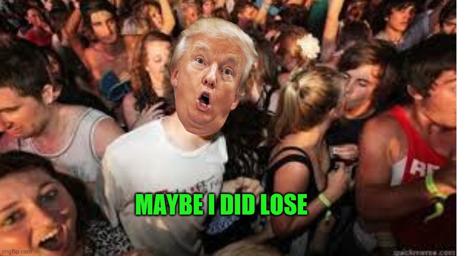 Suddenly clear Donald | MAYBE I DID LOSE | image tagged in suddenly clear donald | made w/ Imgflip meme maker