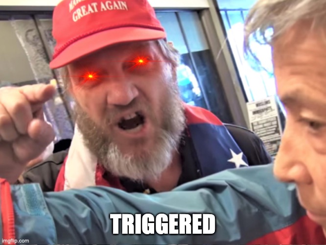 Angry Trump Supporter | TRIGGERED | image tagged in angry trump supporter | made w/ Imgflip meme maker