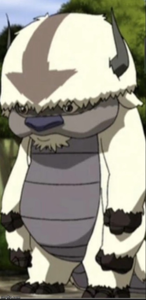 Appa from ATLA | image tagged in avatar the last airbender | made w/ Imgflip meme maker