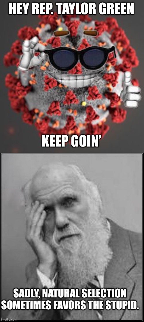 HEY REP. TAYLOR GREEN KEEP GOIN’ SADLY, NATURAL SELECTION SOMETIMES FAVORS THE STUPID. | image tagged in coronavirus,darwin facepalm | made w/ Imgflip meme maker