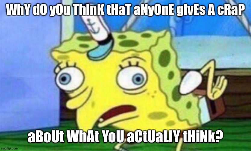spongebob stupid | WhY dO yOu ThInK tHaT aNyOnE gIvEs A cRaP aBoUt WhAt YoU aCtUaLlY tHiNk? | image tagged in spongebob stupid | made w/ Imgflip meme maker