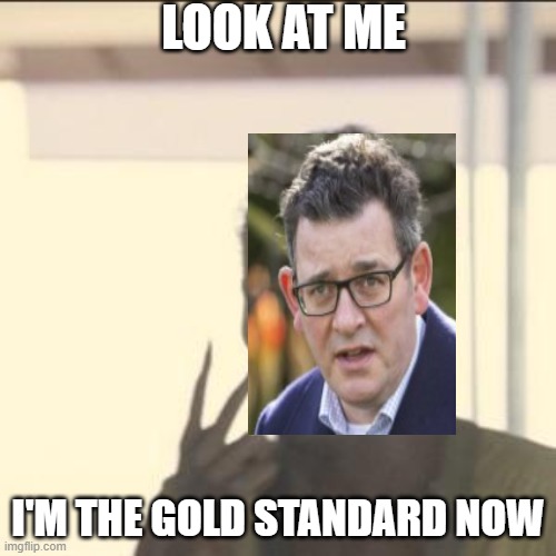 Look At Me Meme | LOOK AT ME; I'M THE GOLD STANDARD NOW | image tagged in memes,look at me,AusMemes | made w/ Imgflip meme maker