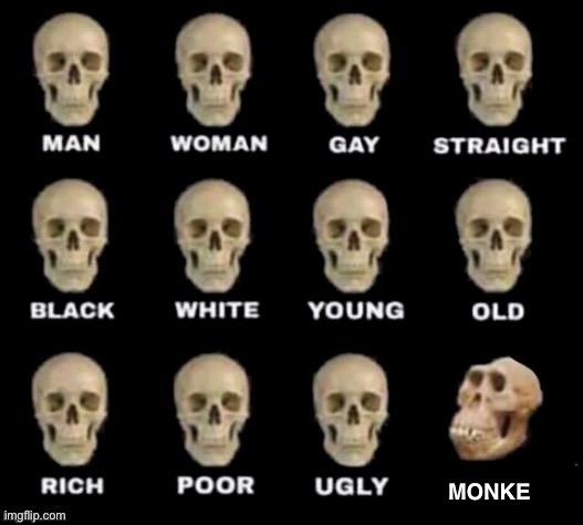 monke | MONKE | image tagged in idiot skull,dank meme,monke | made w/ Imgflip meme maker