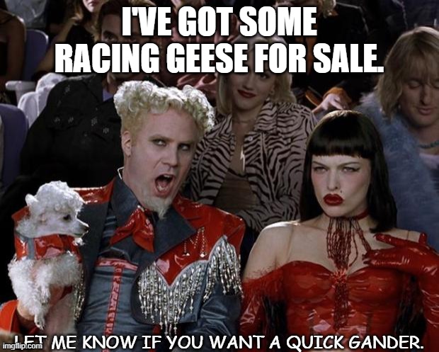 Daily Bad Dad Joke July 27 2021 | I'VE GOT SOME RACING GEESE FOR SALE. LET ME KNOW IF YOU WANT A QUICK GANDER. | image tagged in memes,mugatu so hot right now | made w/ Imgflip meme maker