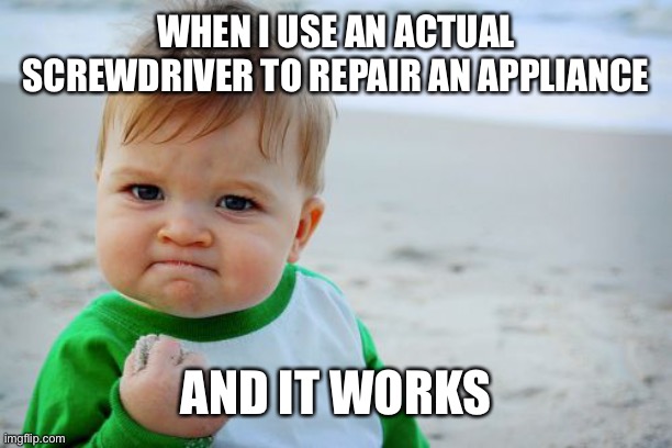 Success Kid Original | WHEN I USE AN ACTUAL SCREWDRIVER TO REPAIR AN APPLIANCE; AND IT WORKS | image tagged in memes,success kid original | made w/ Imgflip meme maker