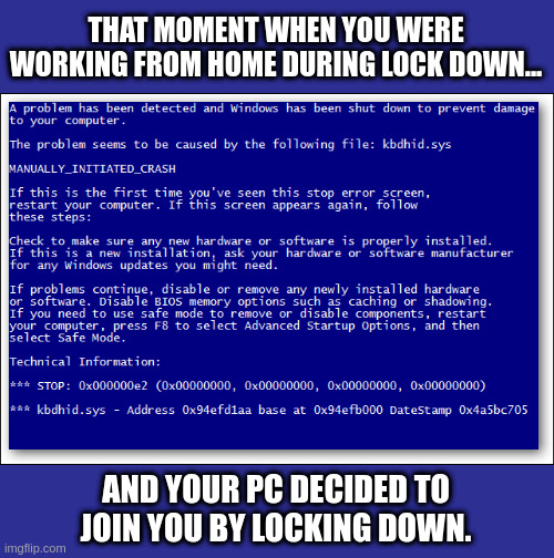 Lock down screen of death. | THAT MOMENT WHEN YOU WERE WORKING FROM HOME DURING LOCK DOWN... AND YOUR PC DECIDED TO JOIN YOU BY LOCKING DOWN. | image tagged in bsod,lock down | made w/ Imgflip meme maker