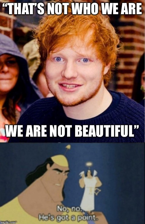 He’s roasting himself…in a song… | “THAT’S NOT WHO WE ARE; WE ARE NOT BEAUTIFUL” | image tagged in ed sheeran,no no hes got a point | made w/ Imgflip meme maker