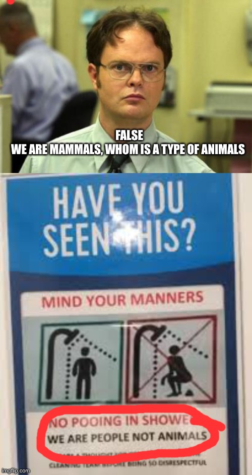 False | FALSE
WE ARE MAMMALS, WHOM IS A TYPE OF ANIMALS | image tagged in dwight shrute,funny memes | made w/ Imgflip meme maker