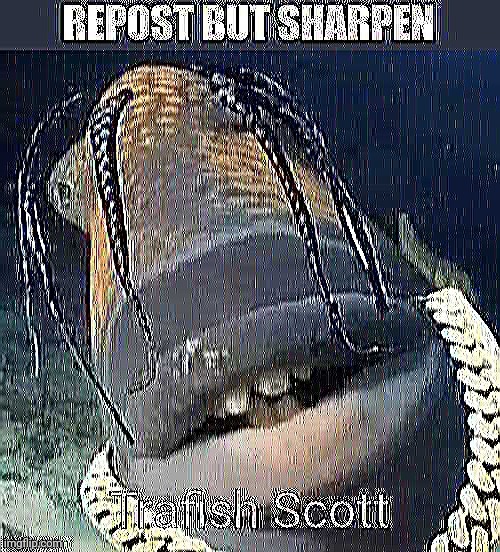 image tagged in memes | made w/ Imgflip meme maker