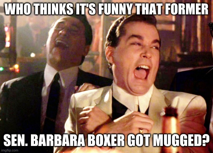 boxer | WHO THINKS IT'S FUNNY THAT FORMER; SEN. BARBARA BOXER GOT MUGGED? | image tagged in memes,good fellas hilarious | made w/ Imgflip meme maker