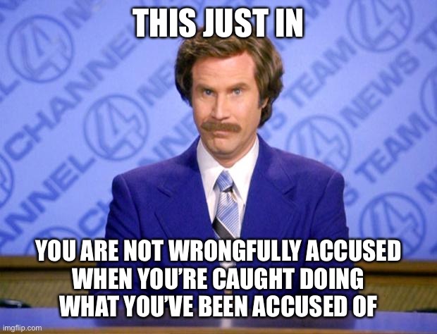 This just in  |  THIS JUST IN; YOU ARE NOT WRONGFULLY ACCUSED
WHEN YOU’RE CAUGHT DOING
WHAT YOU’VE BEEN ACCUSED OF | image tagged in this just in | made w/ Imgflip meme maker