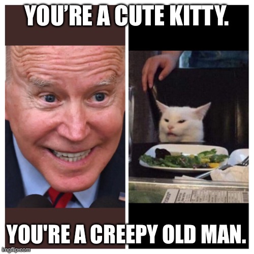 Biden | YOU’RE A CUTE KITTY. YOU'RE A CREEPY OLD MAN. | image tagged in biden | made w/ Imgflip meme maker